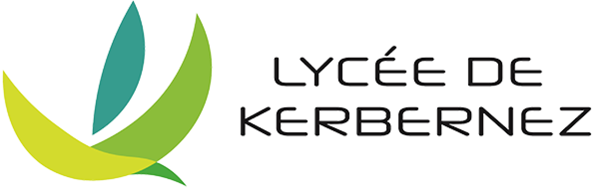 logo_lycee_kerbernez_header@2x
